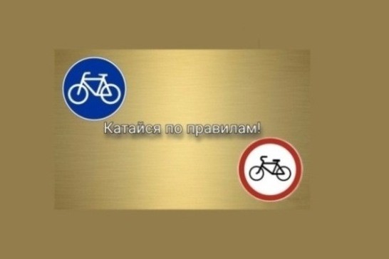 Госавтоинспекция Михайловского района предупреждает велосипедистов о необходимости строгого соблюдения Правил дорожного движения.