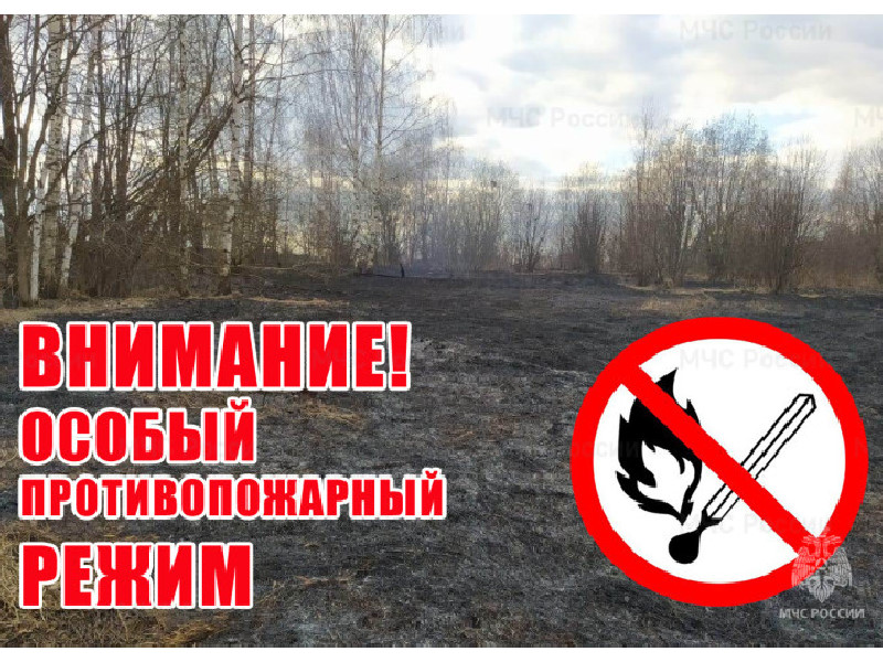 С 27 апреля 2024 года на территории Алтайского края введен особый противопожарный режим..